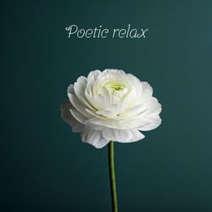 Poetic Relax: Tranquil Anti-Stress Moments with Piano - Soft Instrumental Piano