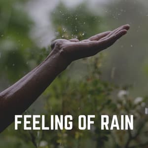 Feeling of Rain - Always Raining