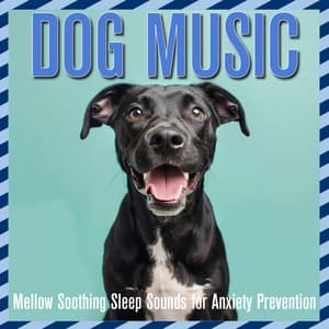 Dog Music: Mellow Soothing Sleep Sounds for Anxiety Prevention - Relaxmydog