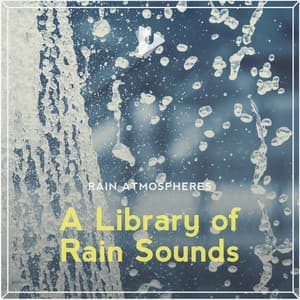 A Library of Rain Sounds - Rain Atmospheres