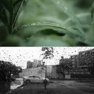 Ambiance for Chill Tuesday - Coffee Shop BGM