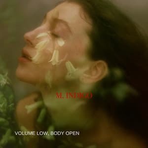 Volume Low, Body Open - M. Indigo