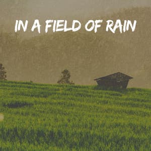 In a Field of Rain - Rain Lullaby