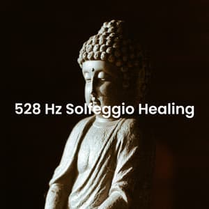 528 Hz Solfeggio Healing - Spiritual Power Control