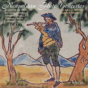 Neapolitan Flute Concertos, Vol. 1 - Carlo Ipata