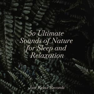 50 Ultimate Sounds of Nature for Sleep and Relaxation - Meditación
