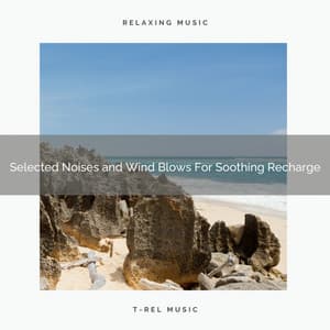 Selected Noises and Wind Blows For Soothing Recharge - Water Sound Natural White Noise