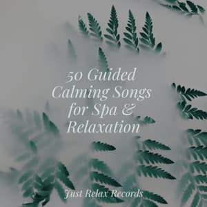 50 Guided Calming Songs for Spa & Relaxation - Meditation Spa