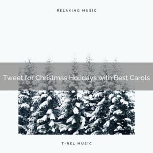 Tweet for Christmas Holidays with Best Carols - White Noise Research