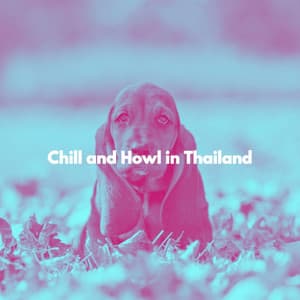 Chill and Howl in Thailand - Dinner & Instrumental Jazz