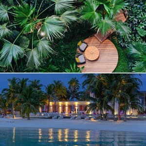 Hotel Stays - Magical - Book Shop Music