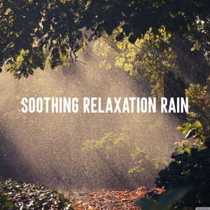 Soothing Relaxation Rain - Relaxing Rain Sound