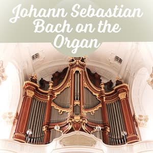 Johann Sebastian Bach on the Organ – Great Organ Works, Famous Composer and Classical Music - Classical Music Songs