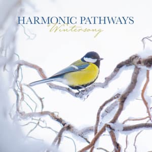 Wintersong - Harmonic Pathways