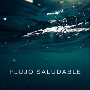 Flujo Saludable - Relajación Con Música En El Balneario