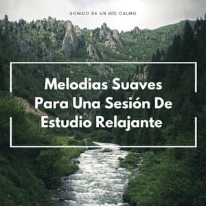 Sonido De Un Río Calmo: Melodias Suaves Para Una Sesión De Estudio Relajante - Aguas del diluvio