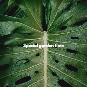 Special garden time - Classy Piano Jazz Background