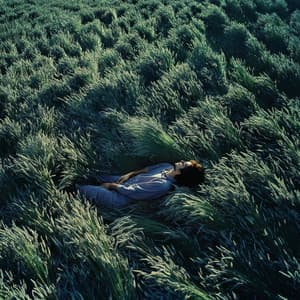 Mini Pensée Endormie - A Dreaming Machine