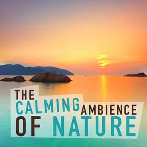 The Calming Ambience of Nature - The Calming Sounds Of Nature