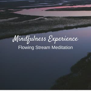 Mindfulness Experience: Flowing Stream Meditation - Meditation and Relaxation