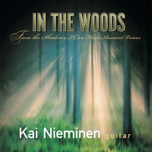 In The Woods - Kai Nieminen