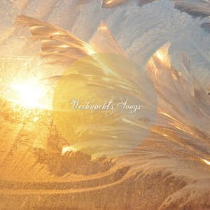 Weihnachts Songs - Weihnachtsmusik