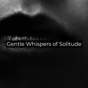 Gentle Whispers of Solitude - Meditation Zone