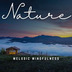 Concentration Euphoria: Melodic Mindfulness - Focusity