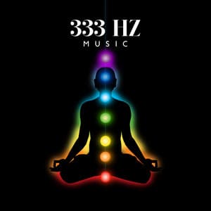 333 HZ Music - Zhang Umeda