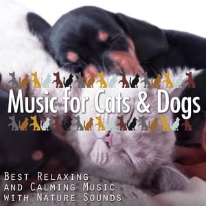 Music for Cats & Dogs: Best Relaxing and Calming Music with Nature Sounds - Dog Whisper