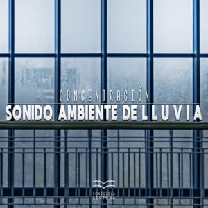Concentración: Sonido Ambiente de Lluvia - Fondo de la lectura