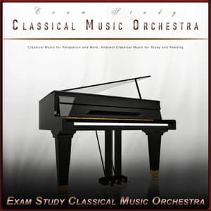 Exam Study Classical Music Orchestra: Classical Music for Relaxation and Work, Ambient Classical Music for Study and Reading - Exam Study Classical Music Orchestra