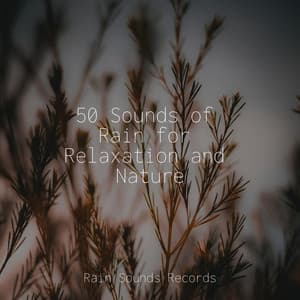 50 Sounds of Rain for Relaxation and Nature - Ocean Waves For Sleep