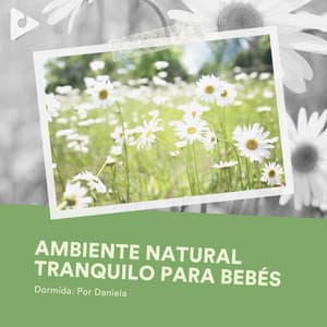 Ambiente Natural Tranquilo para Bebés - Dormida: Por Daniela