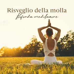 Risveglio della molla: Profonda meditazione, Rilassamento, La spiritualità naturale, Yoga, L'energia kundalini - Santuario dei suoni della natura
