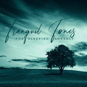 Tranquil Tones for Sleeping Soundly - Robin Gardner