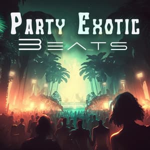 Party Exotic Beats: Deep Vibrations, Sexy Dance All Night, Ibiza’s Best Songs 2023 - Chilled Ibiza