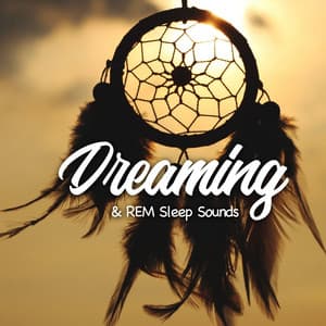 Dreaming & REM Sleep Sounds - Dream Loud