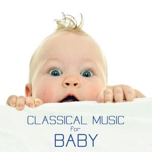 Classical Music for Baby: Classical Soothing Sounds for Babies and Relaxing Music for Newborns and Pregnancy Bedtime Songs - Classical Music for Baby Orchestra