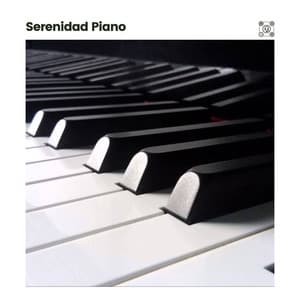 Serenidad Piano - Musica de Piano Escuela