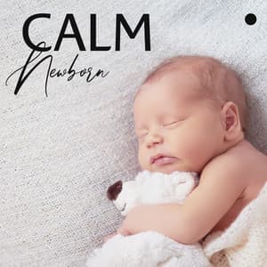 Calm Newborn by Reducing Stress: Dreamland Baby - Relax Baby Music Collection