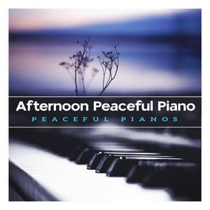 Afternoon Peaceful Piano - Peaceful Pianos