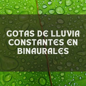 Gotas De Lluvia Constantes En Binaurales - ASMR Lluvioso