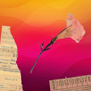 Backdrop for Colorful Gambles - Carefree Jazz Quintet - Tokyo Bebop Jazz Playlist