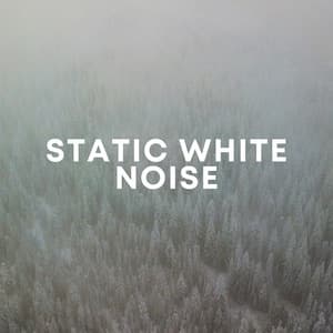 Static White Noise - The White Noise