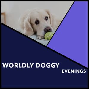 Worldly Doggy Evenings - Dogs Music Therapy