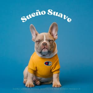 Sueño Suave De Perros: Meditacion Para Dormir Tranquilo - Hippidion