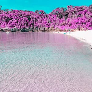 Echoes of Daylight Boosts - Coffee and Jazz