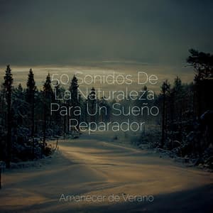 50 Sonidos De La Naturaleza Para Un Sueño Reparador - Nature Sounds Nature Music