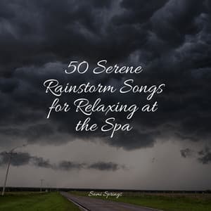 50 Serene Rainstorm Songs for Relaxing at the Spa - Sleep Rain